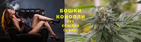 метадон Гусь-Хрустальный