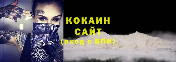 гидропоника Гусиноозёрск