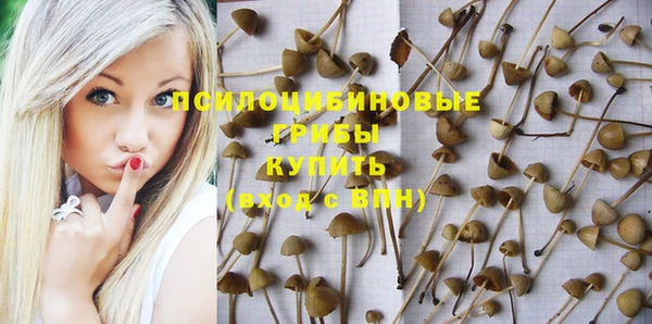 гидропоника Гусиноозёрск