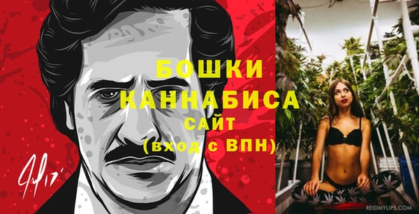 ALPHA-PVP Гусев