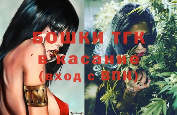 гидропоника Гусиноозёрск