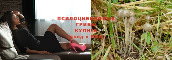 гидропоника Гусиноозёрск