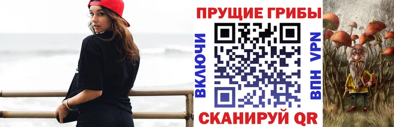 Купить закладки  Крымск  Псилоцибиновые грибы Magic Shrooms 